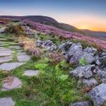 Simonside Hills path for hikers and walkers during sunset in Northumberland National Park, England.