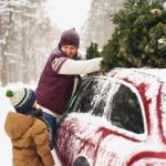 Parent and child loading Christmas tree on to the roof of their car.