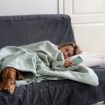 A lethargic woman lying on bed with her dog just looking at her phone.