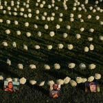 Pictures of loved ones lost to gun violence are displayed during a vigil in honor of victims of gun related deaths at Public Square Park in Nashville, Tennessee.