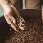 A roaster's hand inspecting freshly roasted coffee beans