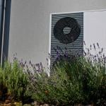 A modern outdoor heat pump mounted on a wall of a home surrounded by lavender plants.