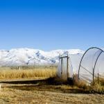 Two of the hoop houses the Lotspeichs paid for using NRCS grants.