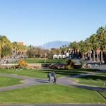 The University of Arizona campus in Tucson, Arizona.