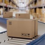 Cardboard boxes on conveyor rollers for distribution and shipping.
