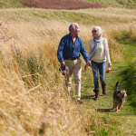 Senior couple walking their dog on a grassy countryside path