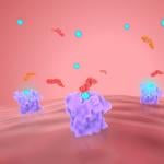 A 3d render illustration of beta blockers inhibiting beta receptors.