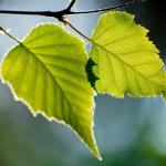 Erika J Mitchell // Shutterstock
