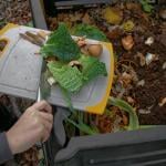 A person scraping vegetable scraps from a cutting board into a compost bin outdoors. The scraps include leafy greens, onion peels and eggshells. 