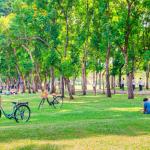 Bicycles and people on a green lawn.