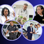 A photo illustration of five similarly sized circles with people of different professions within each circle, including a pharmacist talking to a patient, a police office standing next to a car, a veterinarian attending to a small terrier, a car salesperson helping two buyers, and a judge holding a gavel. 