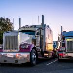 Big rig trucks stand side by side in a parking lot at sunset.