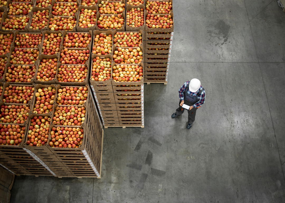 A worker standing by apple fruit crates ready for shipping in an organic food factory warehouse.