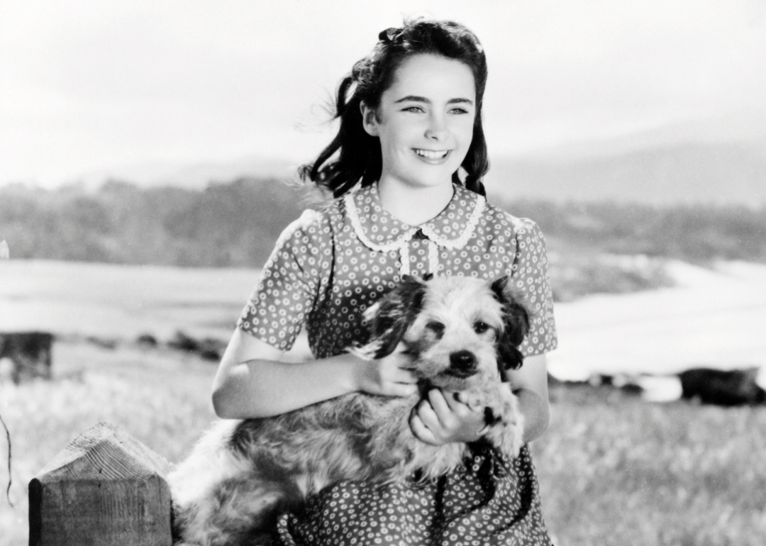 Elizabeth Taylor, as a young girl, holding a dog while sitting on a fence.