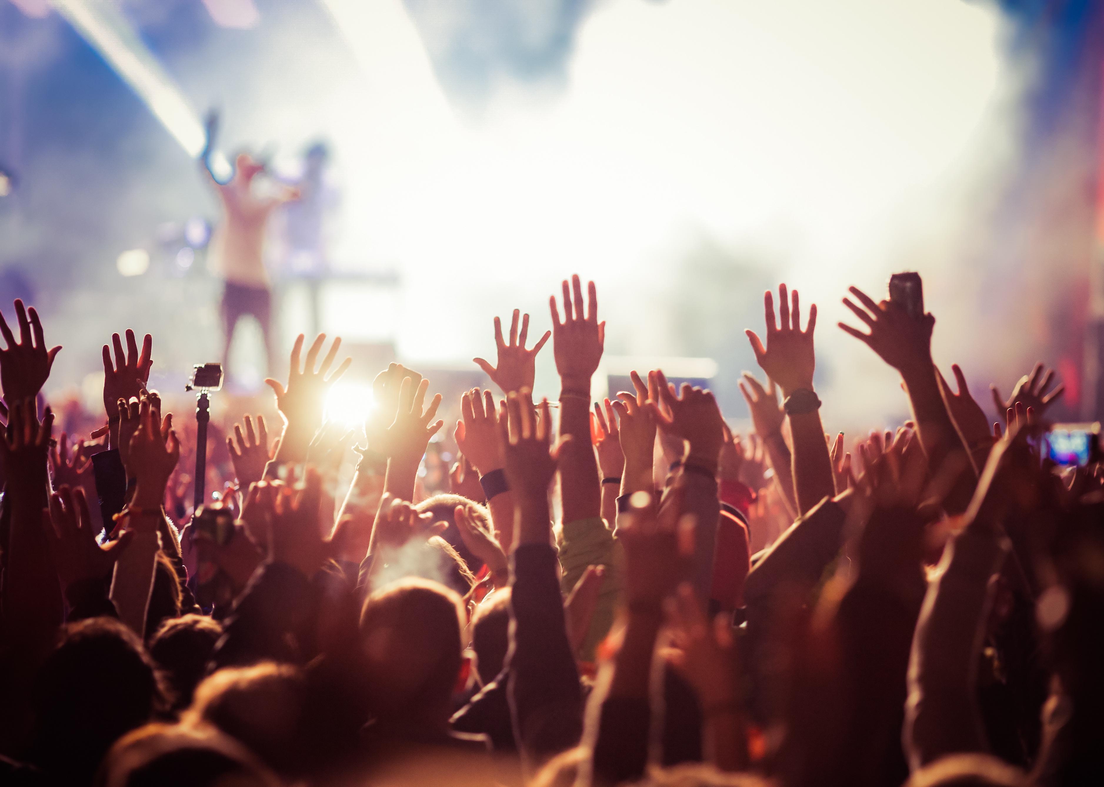 Back view of a crowd at a concert.