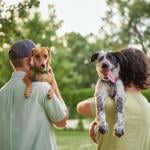 Two people carrying small dogs.