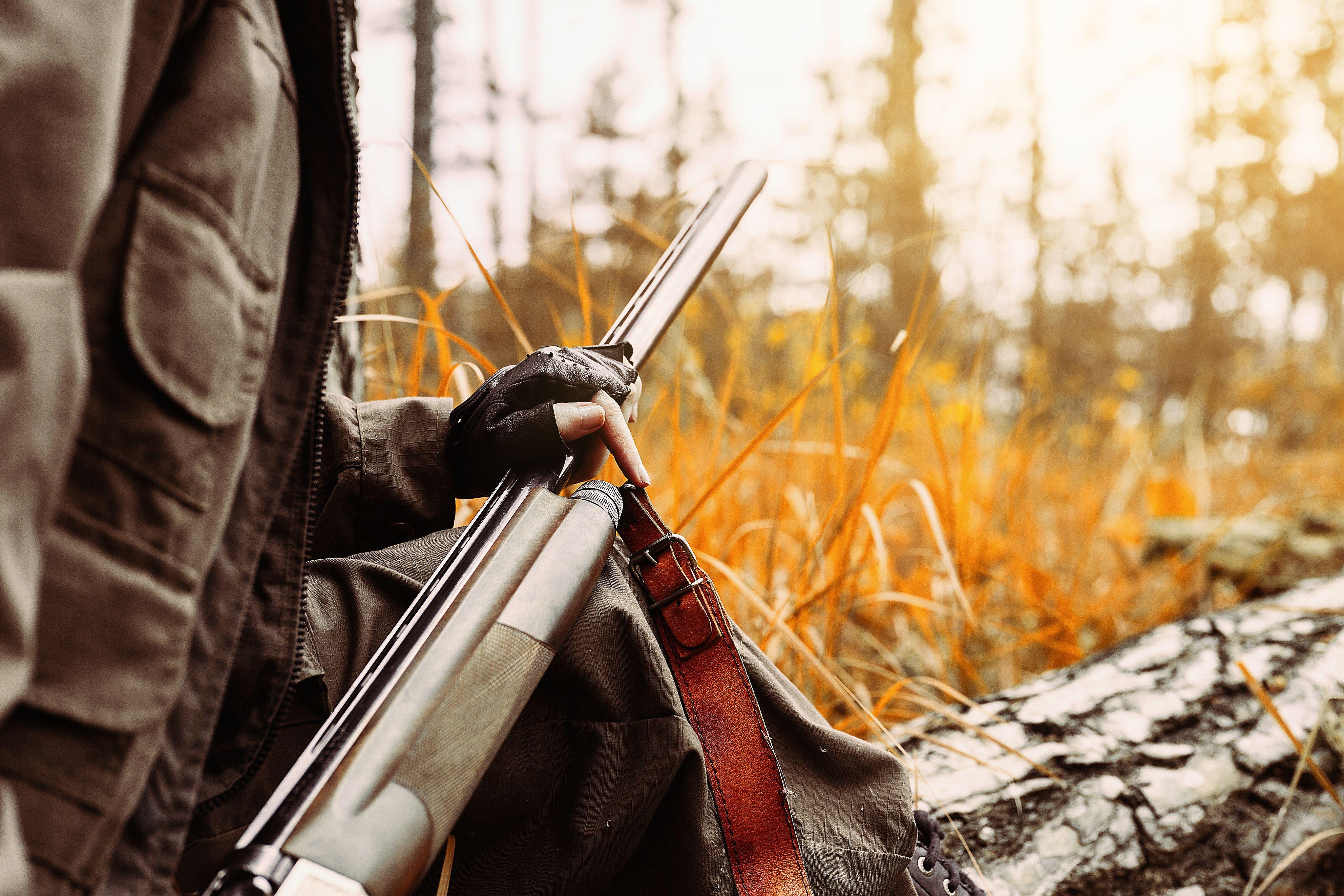 Closeup of hunter holding a gun in the woods in autumn.