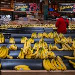 Staff stocking up the organic bananas aisle with a large low prices sign at a grocery store in Brooklyn, New York.