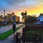 A person walking a dog in a neighborhood during sunset after a rain.
