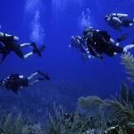 A group of former navy SEALs underwater.