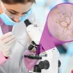 Laboratory worker using modern microscope to examine helminths.