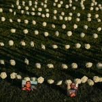 Pictures of loved ones lost to gun violence are displayed during a vigil in honor of victims of gun related deaths at Public Square Park in Nashville, Tennessee.
