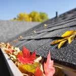 Autumn leaves accumulate in a house's rain gutter.