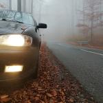 A close up on a car's headlights with fog light along a forest roadside during autumn.