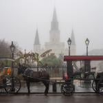 A foggy view of St. Louis' Cathedral in New Orleans, Louisiana on a rainy day.