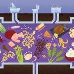 ILlustration depicting all the Thanksgiving detritus that can end up in drains.