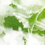 A figure of an airplane over a green field as a concept of sustainable aviation.