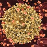 A 3D illustration of HIV infecting the T-lymphocyte cell.
