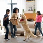 A happy family playing with their golden retriever in their living room.