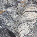 Close up of a migmatite boulder of the Natal-Namaqua metamorphic belt.