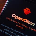 OpenClaw app introduction displayed on a smartphone.