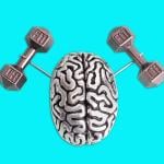 3D illustration of human brain illustrated to carry heavy dumbbells.
