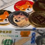 Different variants of the cryptocurrency, Dogecoin.