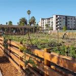 A neighborhood community where two people were seen urban farming.