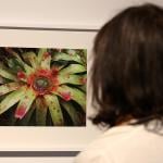 The work "Bounty 45" by Steve McQueen is seen during the 13th Berlin Biennale press opening at KW Institute for Contemporary Art, on June 12, 2025 in Berlin, Germany.