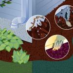 An illustration and focused shots of mulch and house pests.