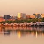 A sunrise view of a row of cherry blossom trees and the Rosslyn skyline reflected in the Tidal Basin in Virginia.