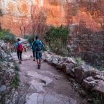 A group of hikers on the walkway at the Grand Canyon National Park.
