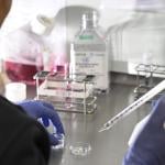 Culture dishes were prepared for egg collection after retrieval in a cell laboratory at Fertility Center Berlin, Germany.