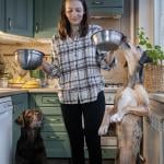A woman preparing to feed two dogs with food from steel bowls.