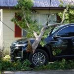 A tree branch that fell on top of an SUV after Hurricane Helene.