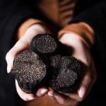 Medium-sized truffles from Canberra