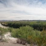 The banks of the Rio Grande near Presidio, Texas.