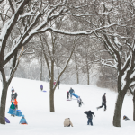 People of all ages sledding and playing on a snowy hill.