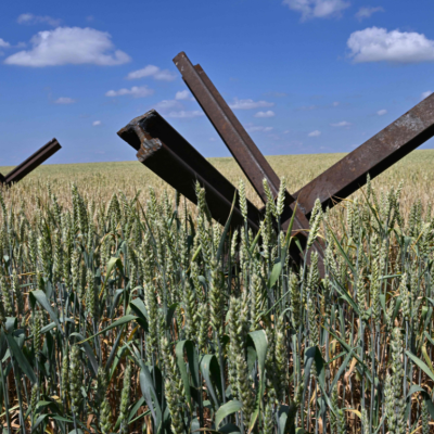 Anti-tank obstacles on a wheat field at a farm in southern Ukraine