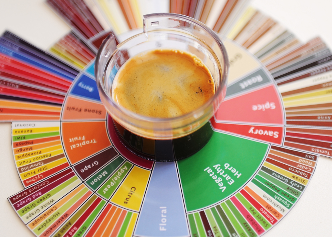 Cup of coffee on a flavor wheel diagram.